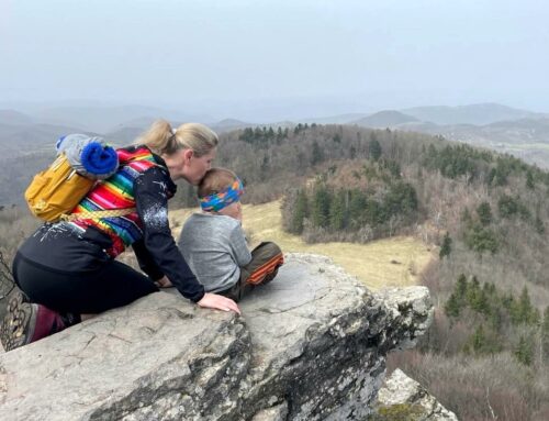 Dieťa s ťažkou poruchou sluchu na Slovensku s kochleárnymi implantátmi z pohľadu rodiča