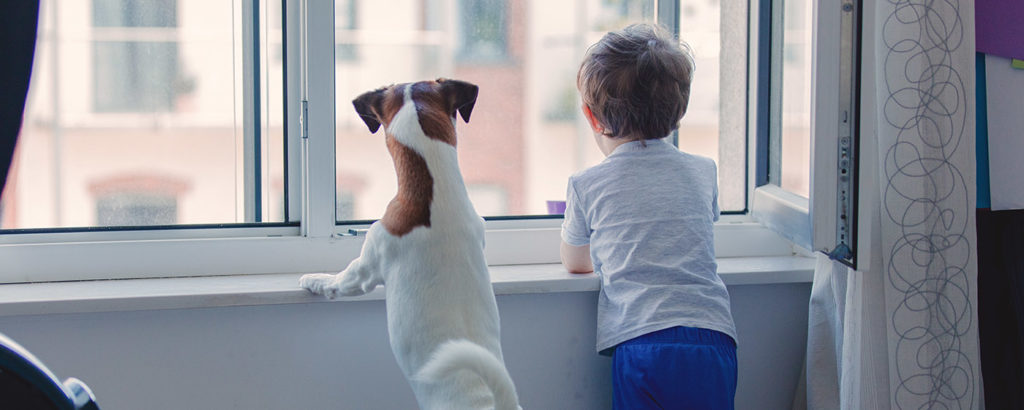 A dog and a boy looking outside the window - social isolation and the effects of Corona on hearing
